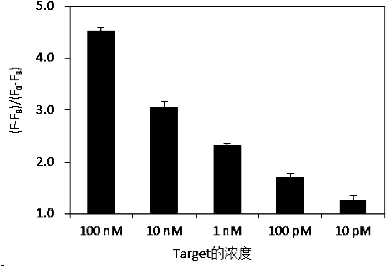 Single strand nucleic acid detection kit and method as well as application of single strand nucleic acid detection kit and method