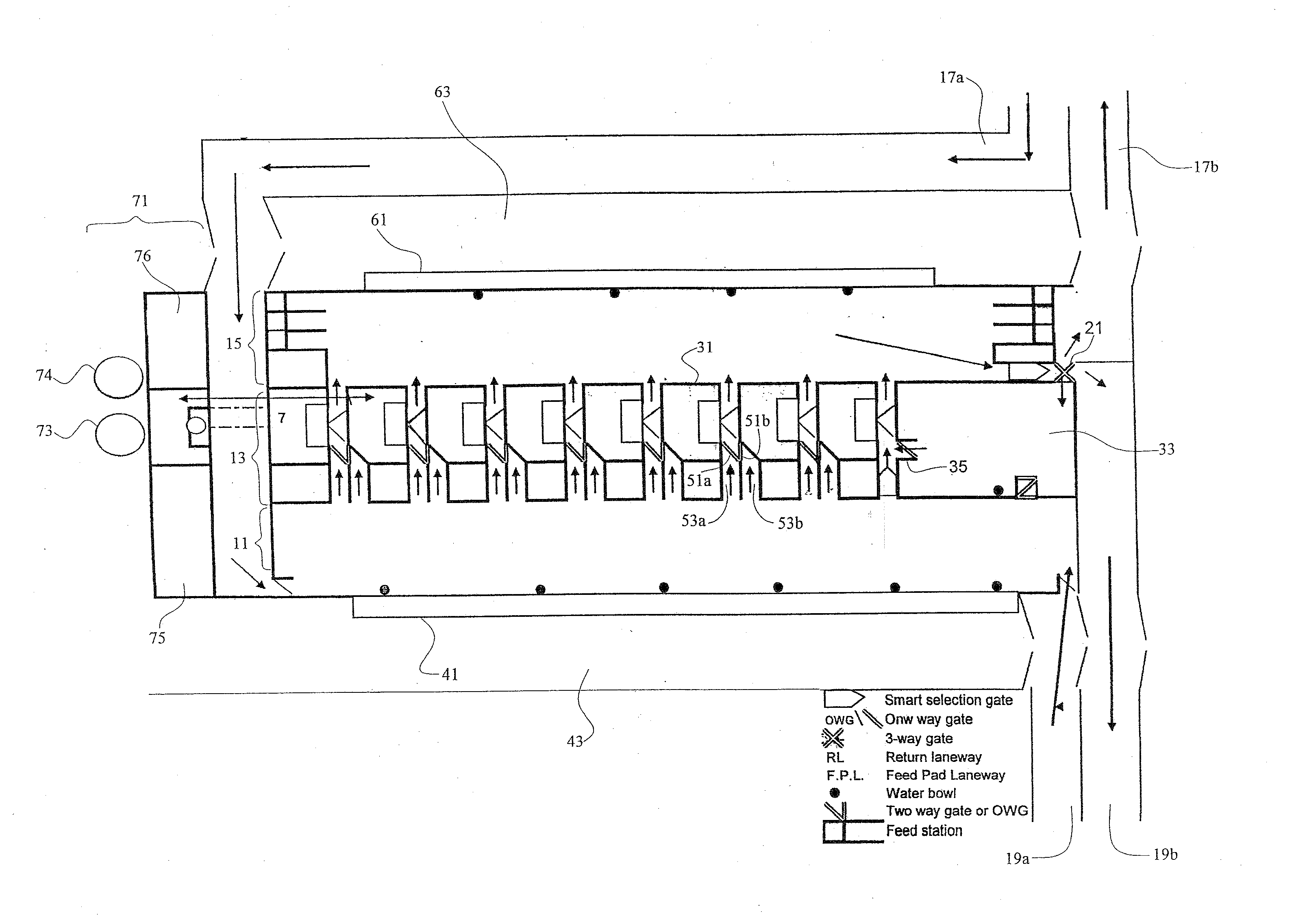 Milking facility and method for milking therein