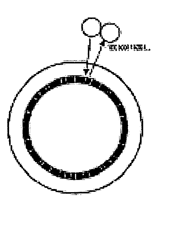 Detecting device for detecting the rotation of a motor rotor