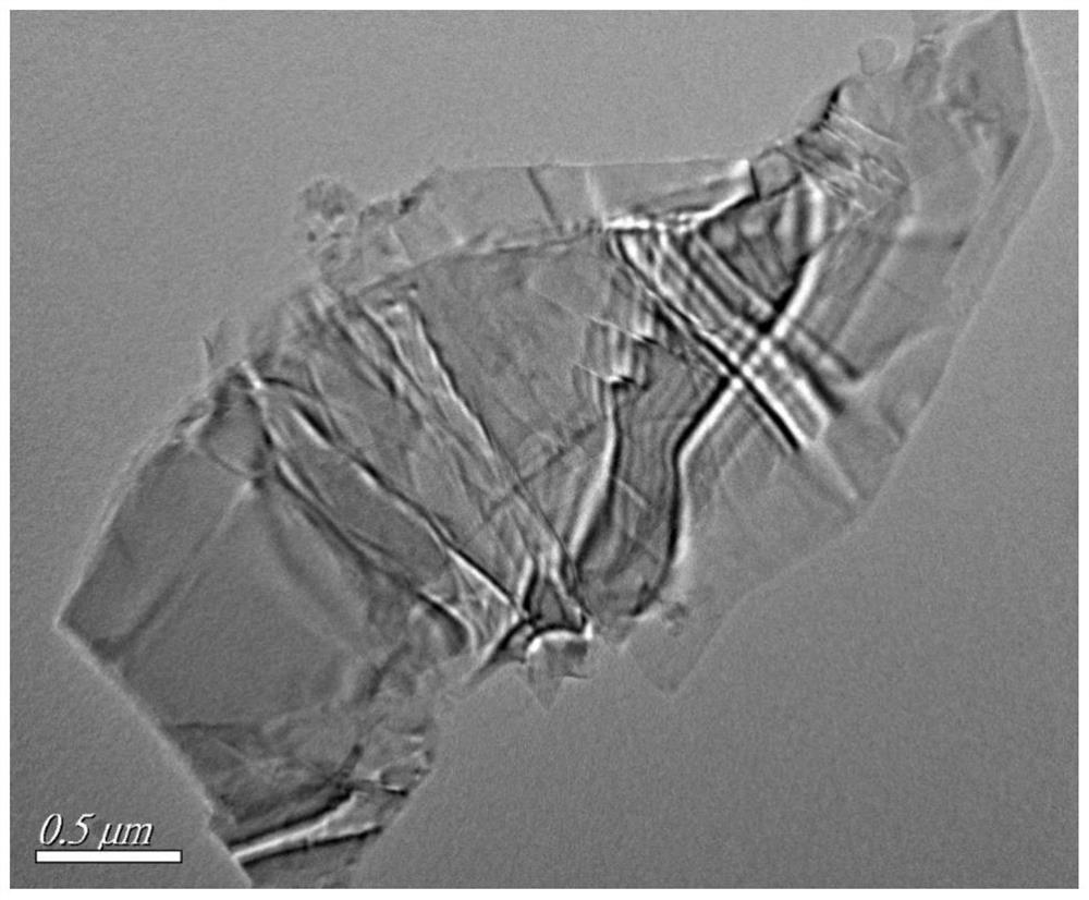 Aflatoxin B1 detection method based on up-conversion and black phosphorus nanosheet aptamer sensor