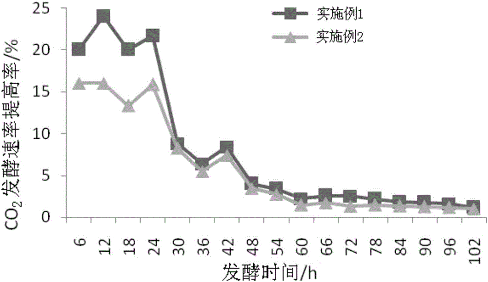 Porous immobilized yeast and preparation method and application thereof