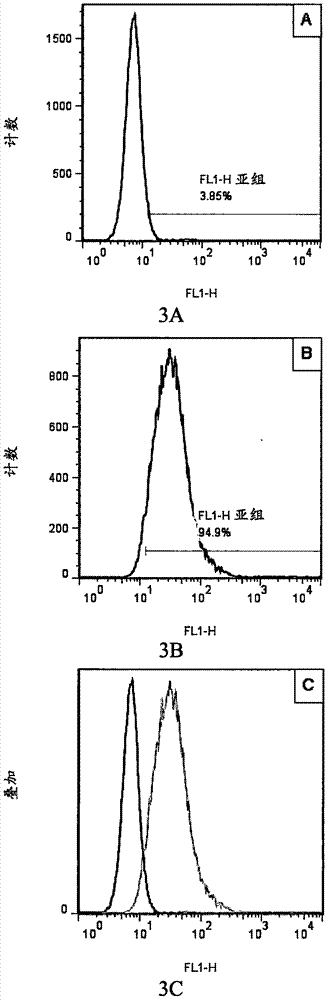 Antibody capable of combining interleukin 4 acceptor