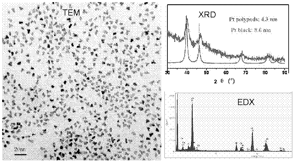 Platinoid bimetallic nanometer material and preparation method and application thereof