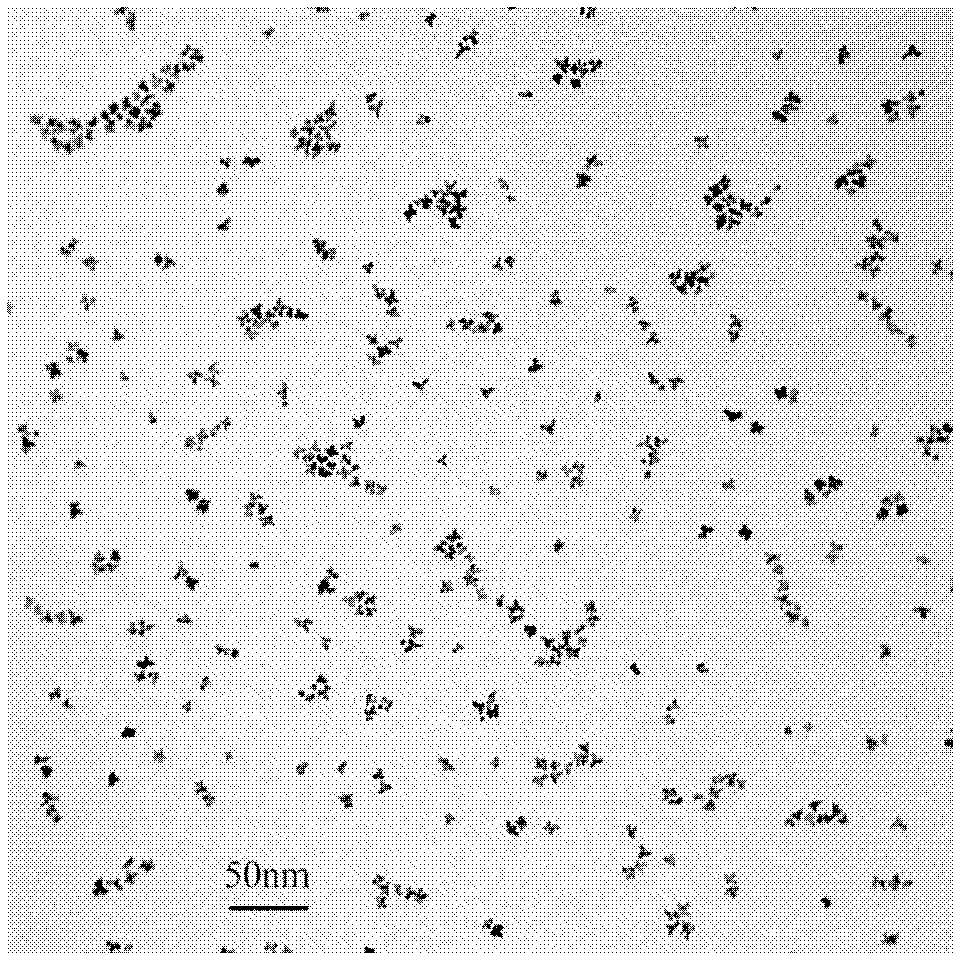 Platinoid bimetallic nanometer material and preparation method and application thereof