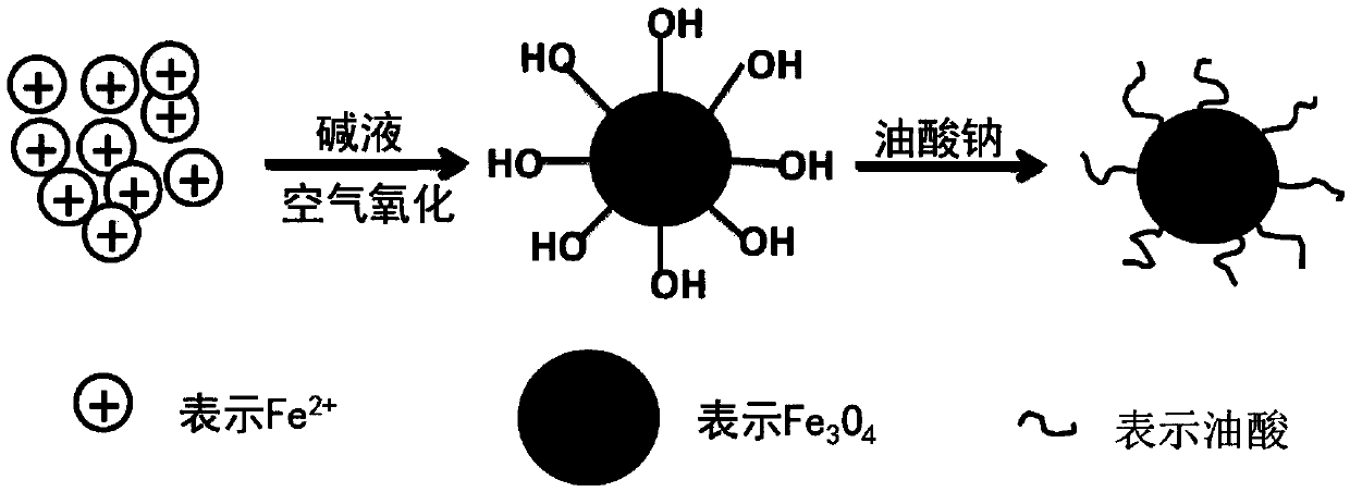 Nano magnetofluid fracturing fluid imbibition oil-increasing method for tight reservoir and modified nano magnetic particles