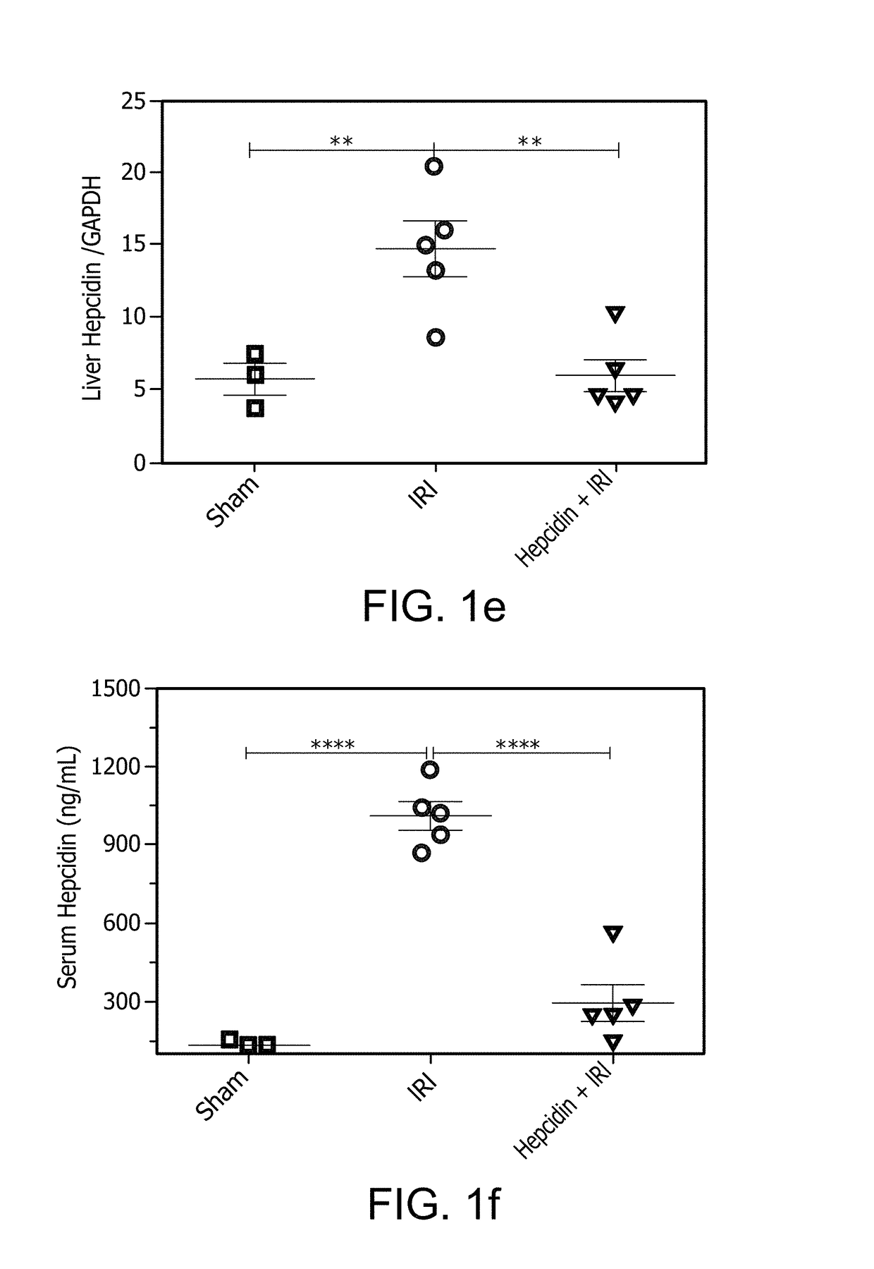 Compositions and methods for protecting the kidney from ischemia reperfusion injury