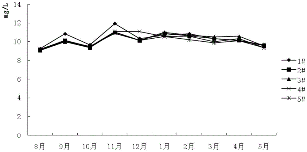 Method for Ecological Breeding of Macrobrachium japonicus and Channa japonica in Ponds Using Artificial Ecological Base