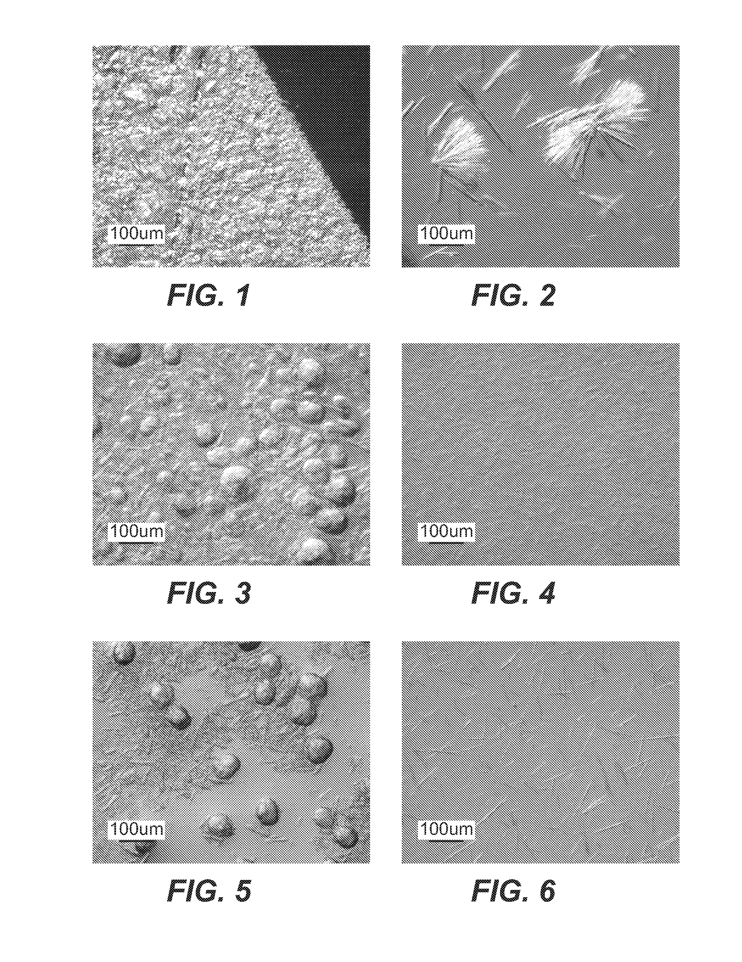 Crystallization of Anti-cd20 antibodies