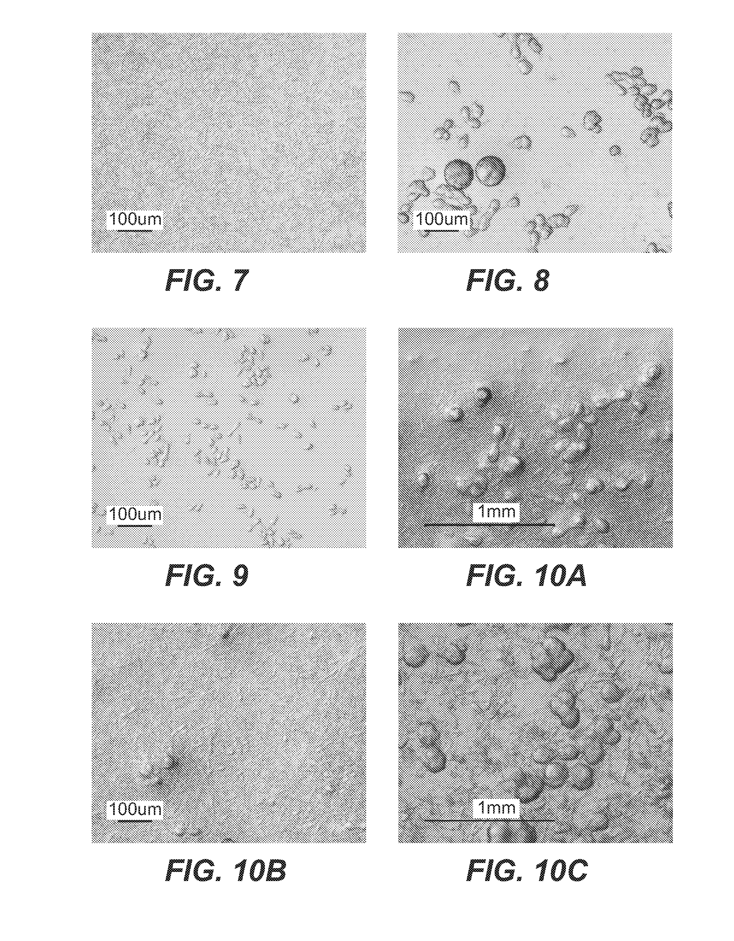 Crystallization of Anti-cd20 antibodies