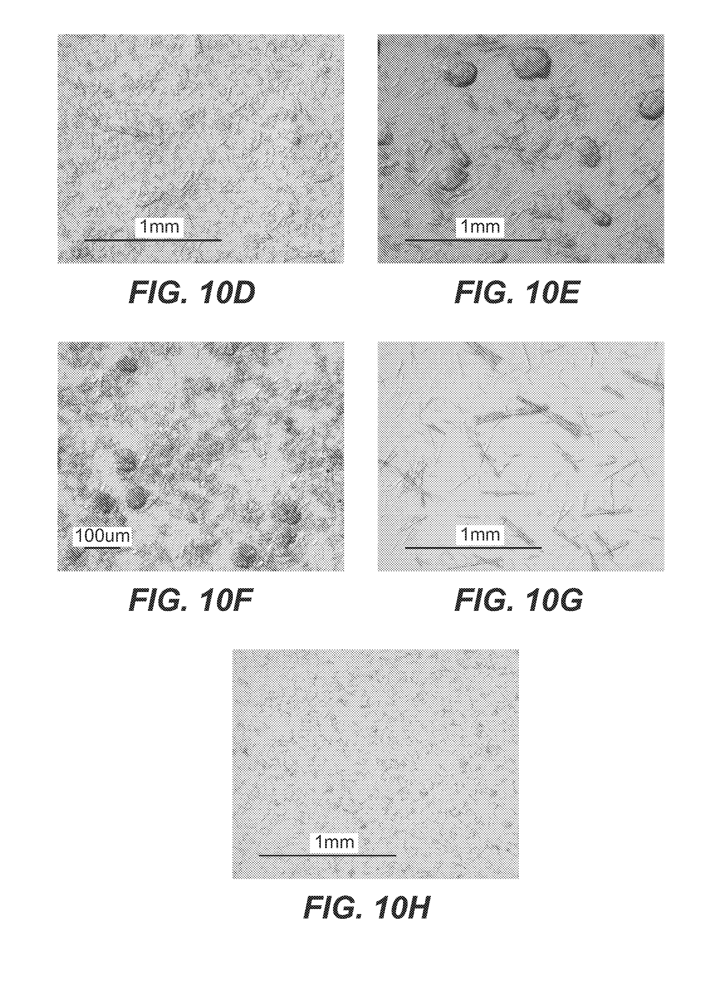 Crystallization of Anti-cd20 antibodies