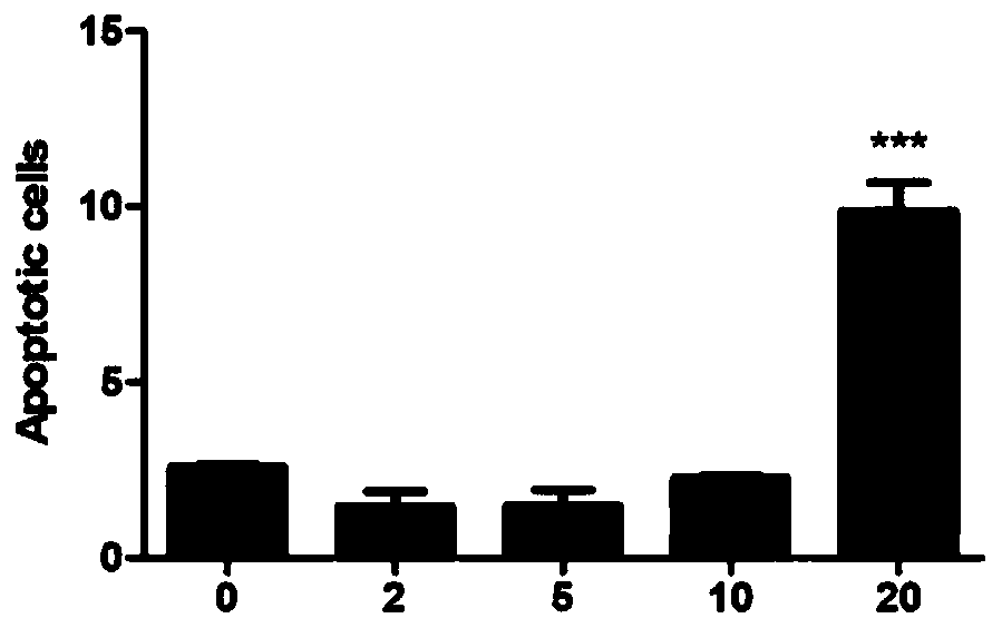 Benzodifuranone compound with antitumor activity and preparation method and application thereof