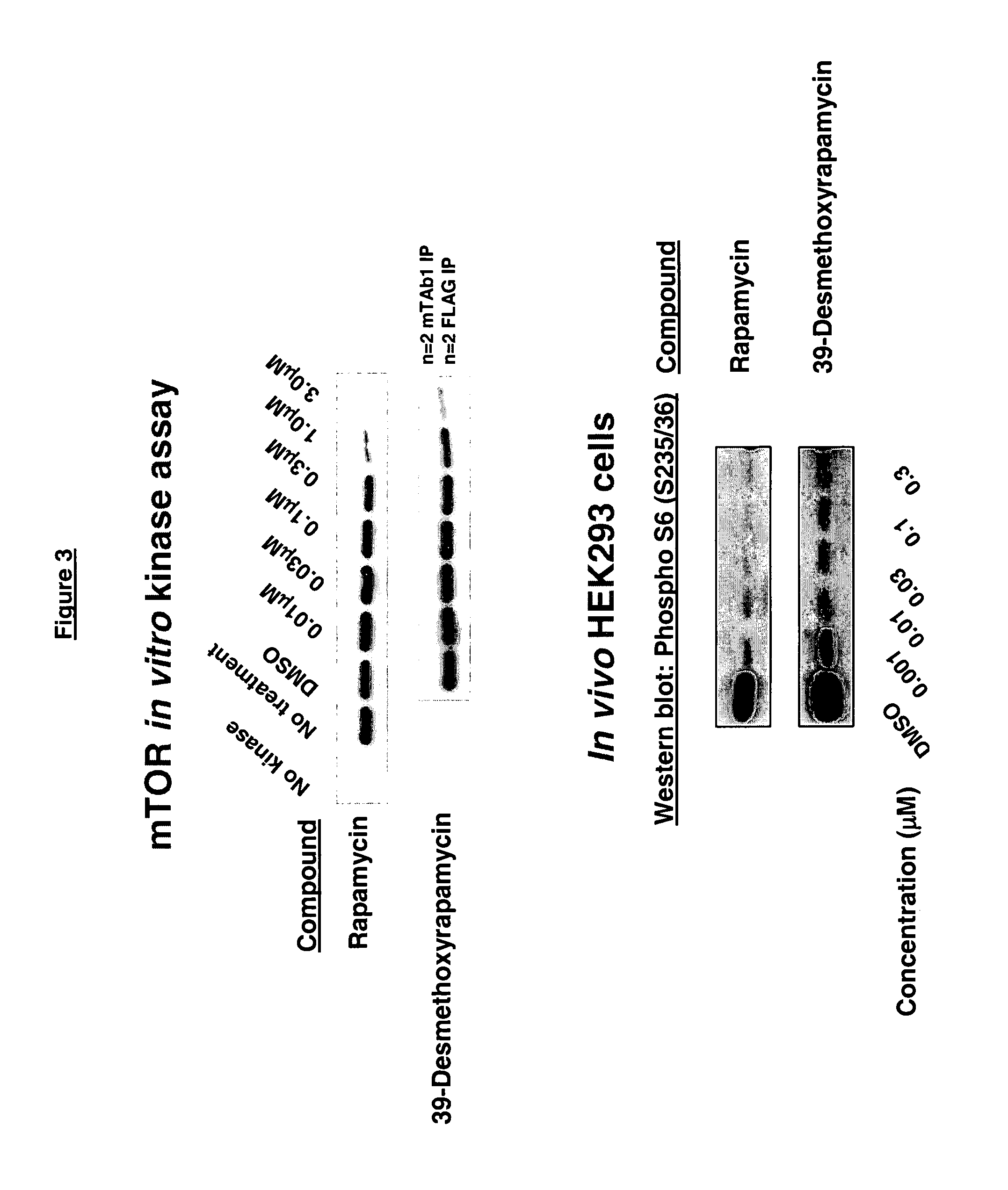 39-desmethoxyrapamycin, compositions and methods of use thereof