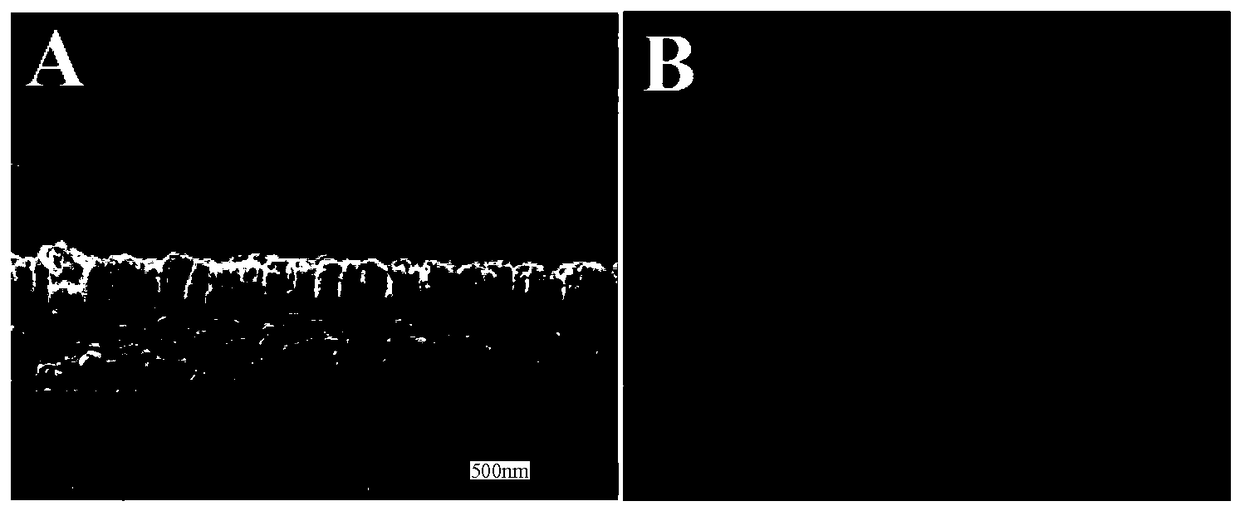 A kind of perovskite solar cell and preparation method thereof