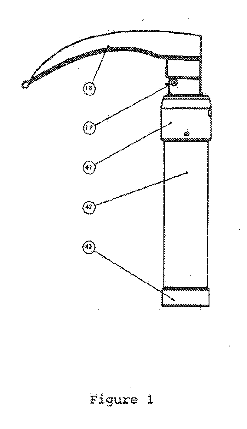 Digital laringoscope