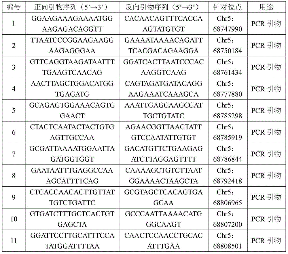 Human embryo spinal muscular atrophy mutant gene detection kit