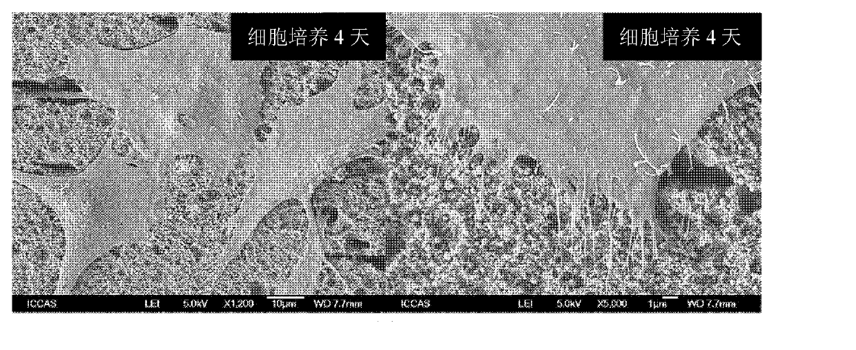 Hydroxyapatite/biodegradable polyester composite material and preparation method thereof