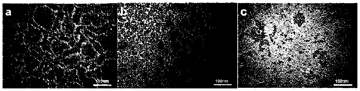 PtAu nano catalyst with controllable active site spacing and preparation method thereof