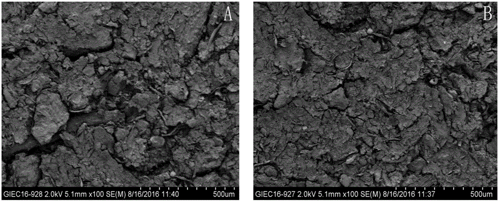 Preparation method and application of waste bacterial rod carbon anode