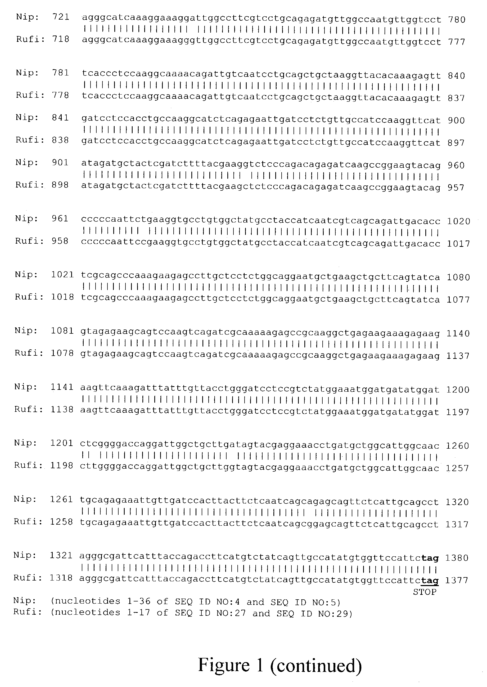 EG1117 Polynucleotides and uses thereof