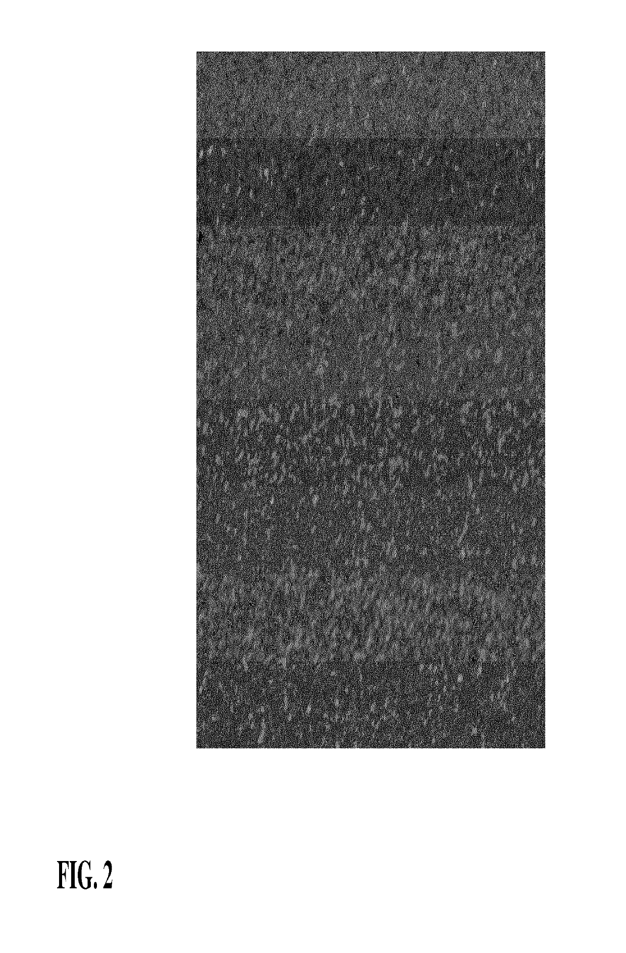 Determining a propagation velocity for a surface wave