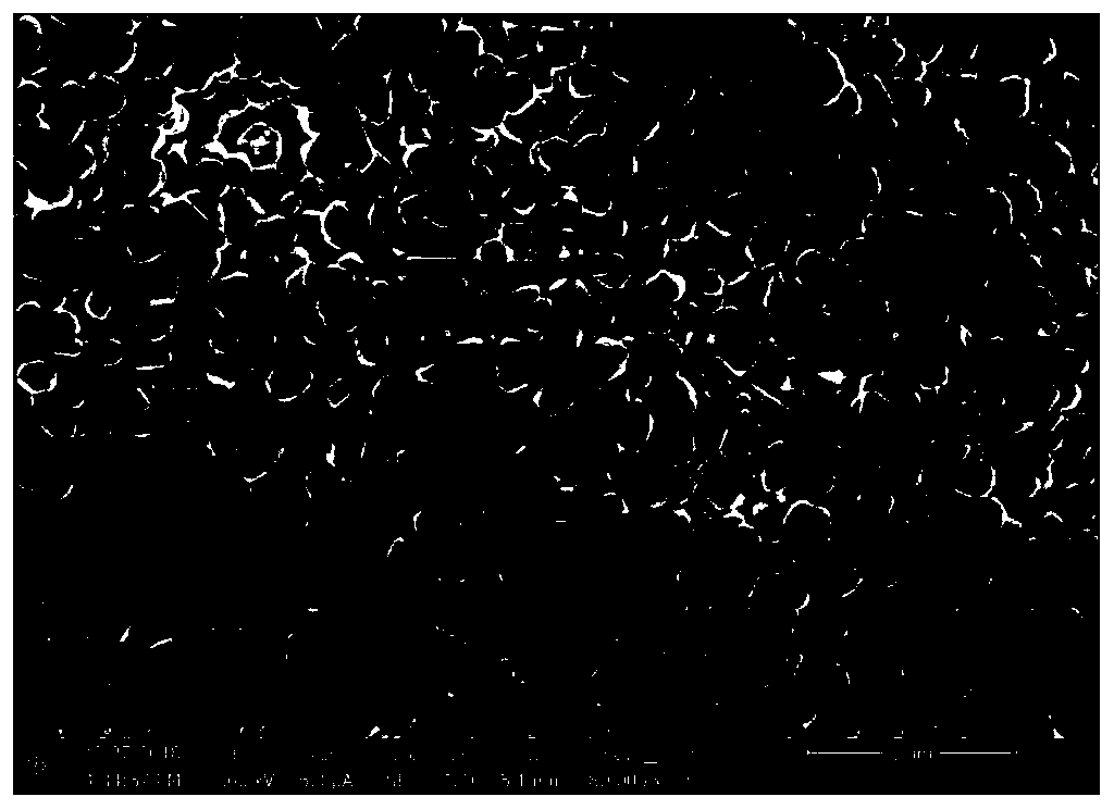 Nano-copper and preparation method thereof