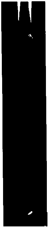 Lipase made of aspergillus niger strains, and producing method and utilization thereof