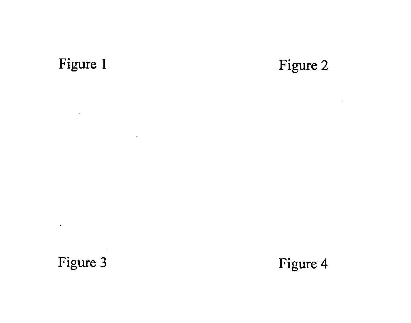 T cell immune response inhibitor