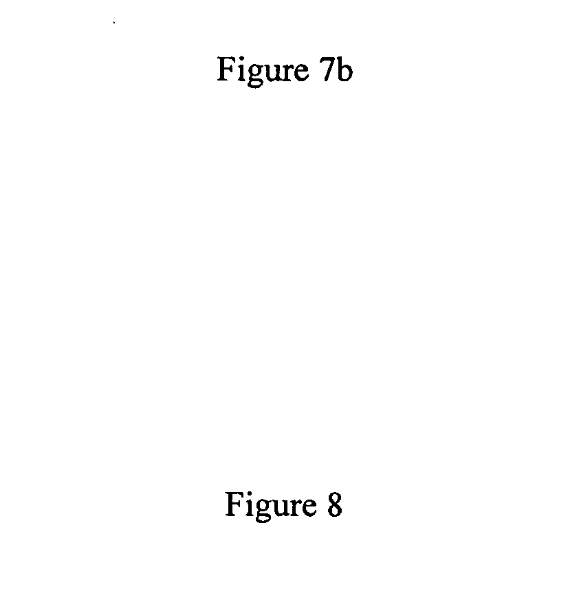 T cell immune response inhibitor