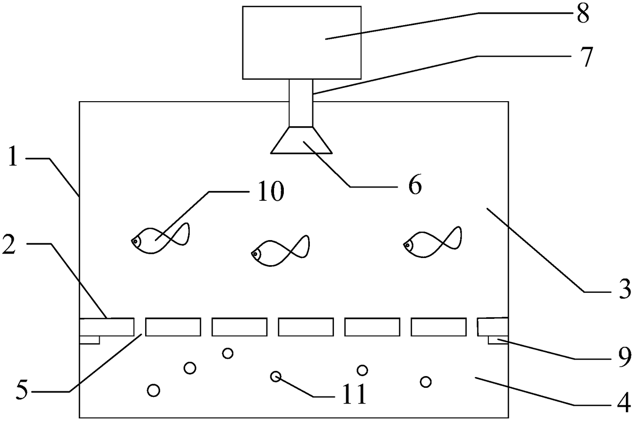 Device and method for increasing fertility rate of zebra fishes