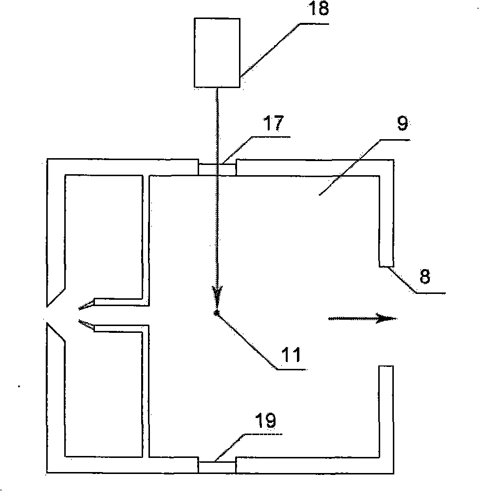 Novel electric spray sample introduction vacuum ultraviolet single photon ionization mass spectrum analysis apparatus