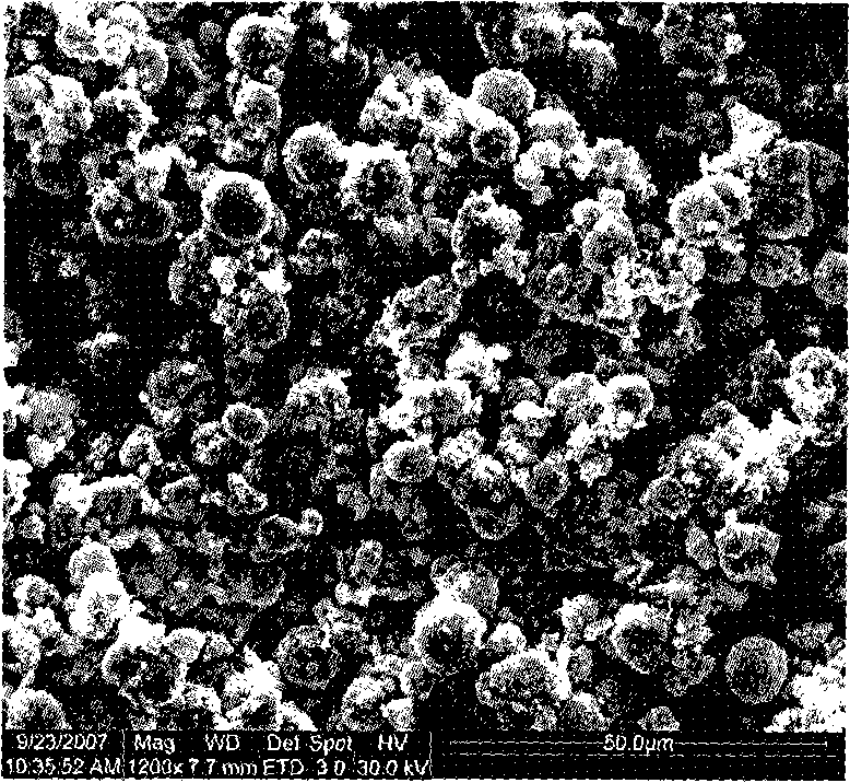 Bismuth vanadate powder and preparation method thereof