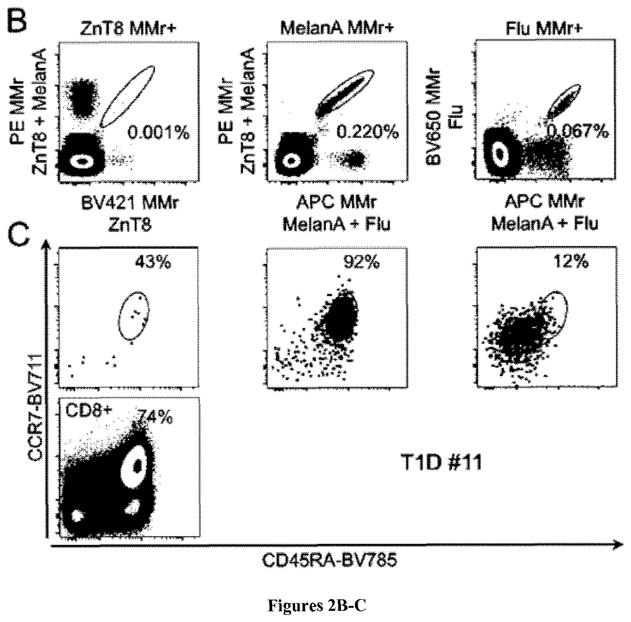 T cell receptors (TCR) and uses thereof for the diagnosis and treatment of diabetes