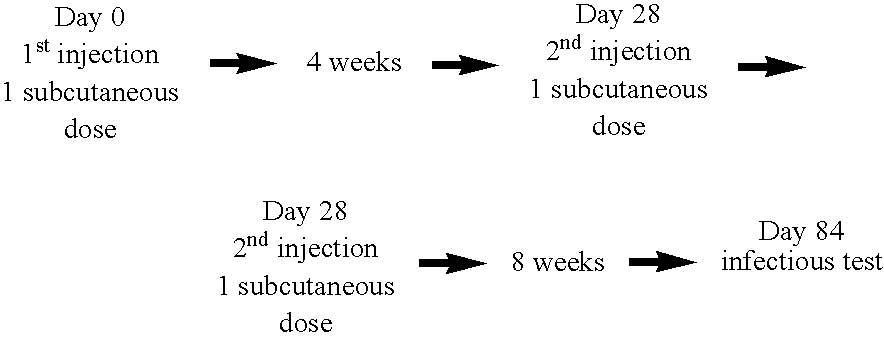 Therapeutic vaccine peptide complex for preventing and treating disorders in mammals