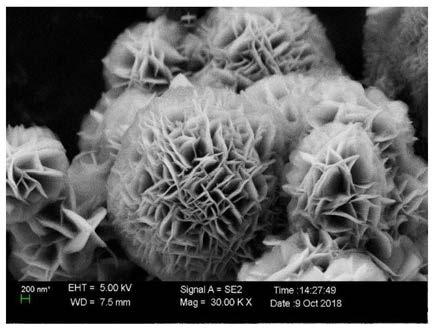 A kind of nano sheet MFI molecular sieve loaded CDS-PT composite photocatalyst and preparation method thereof