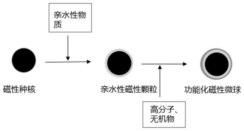 Preparation method of functionalized magnetic microspheres, magnetic microspheres and application thereof