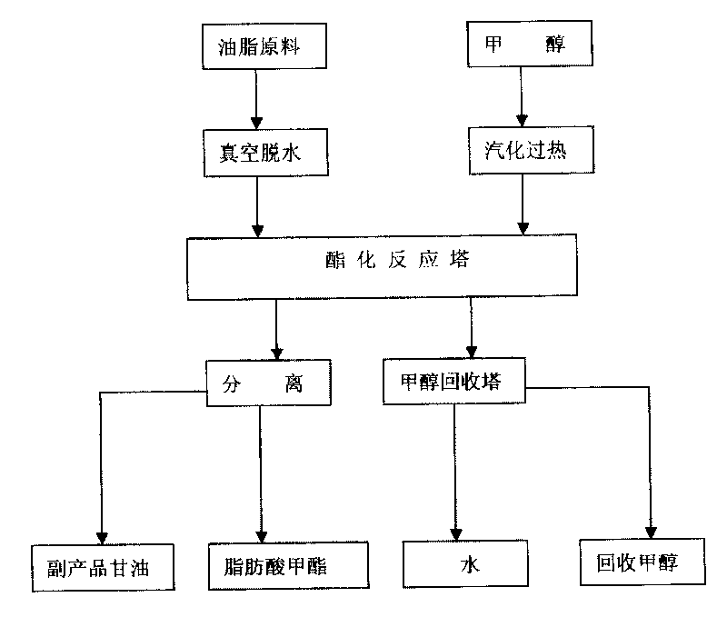 Method for synthesizing fatty acid methyl ester