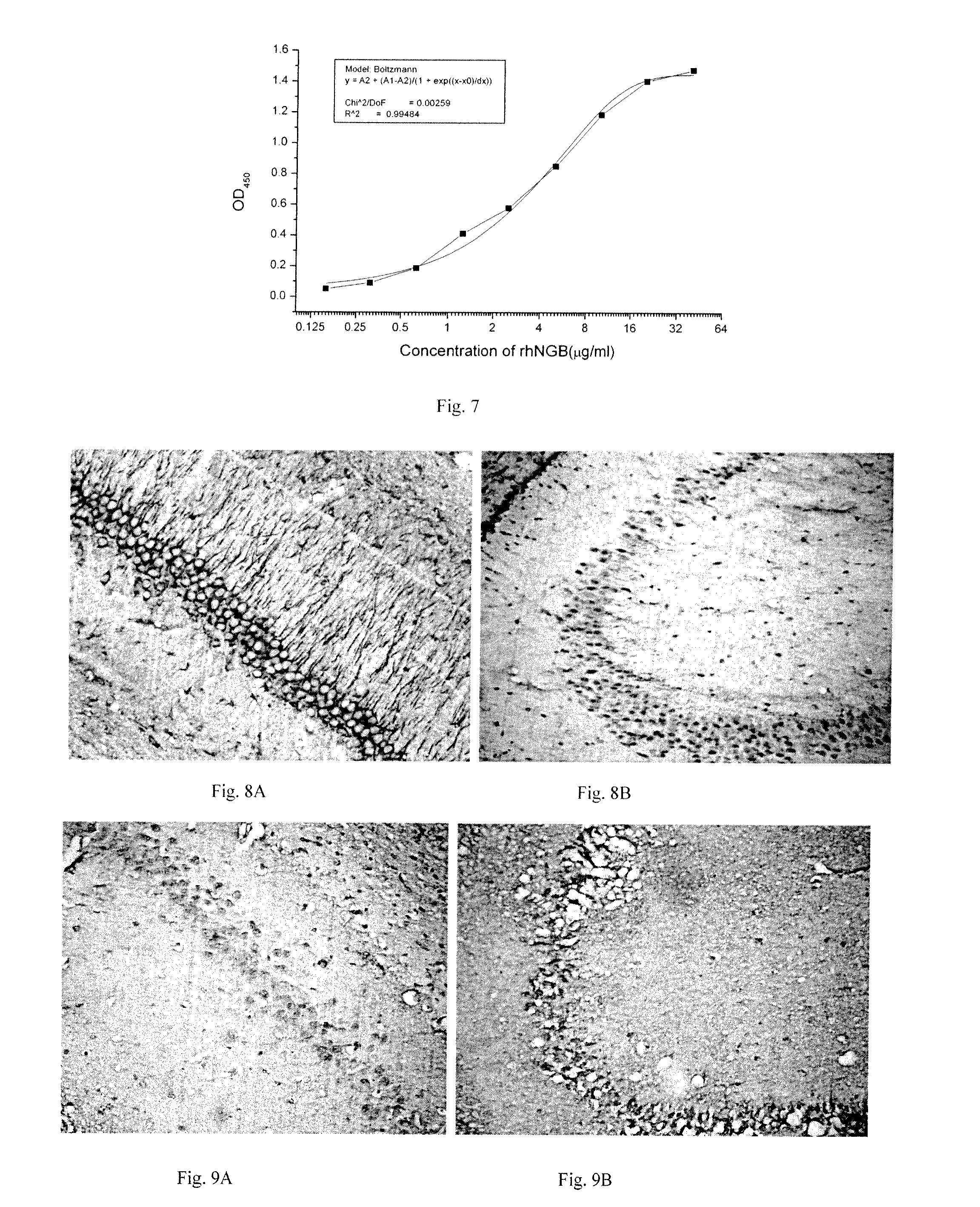 A neuroglobin enzyme-linked immunosorbent assay kit and the use of it