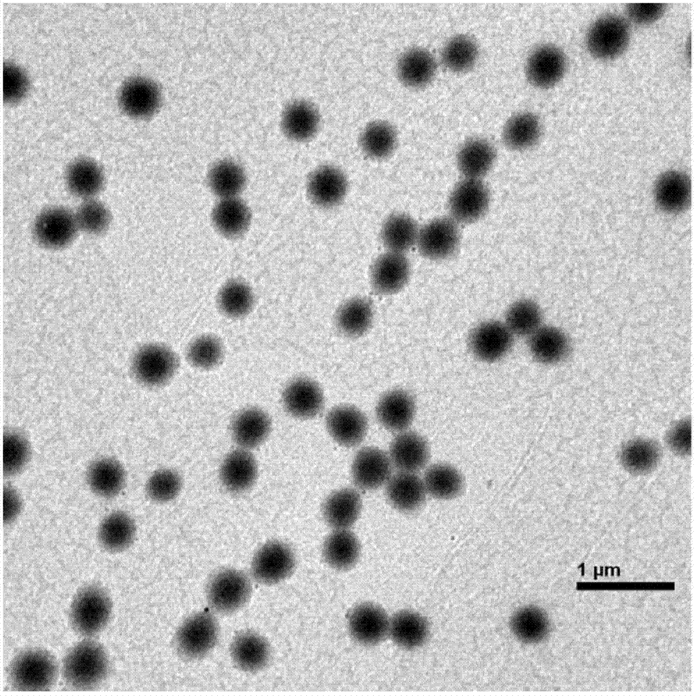 Method for realizing one-pot synthesis of pH and temperature double-sensitive ionic micro hydrogel