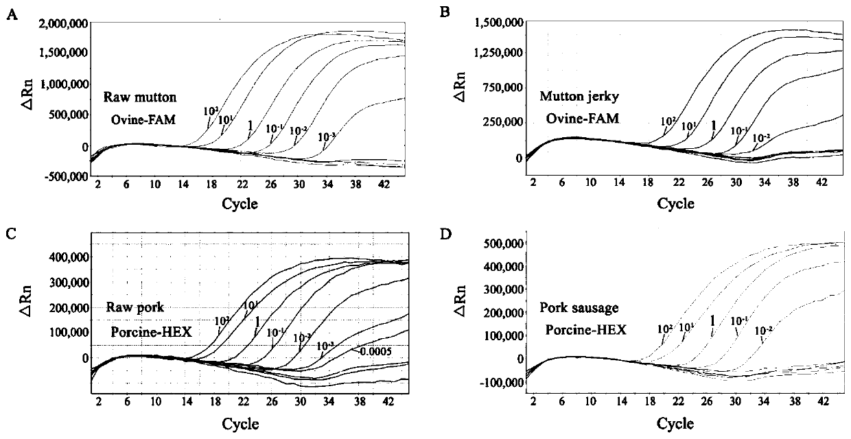 Primer and probe for synchronous detection of sheep-origin and pig-origin in meat product and detection method thereof