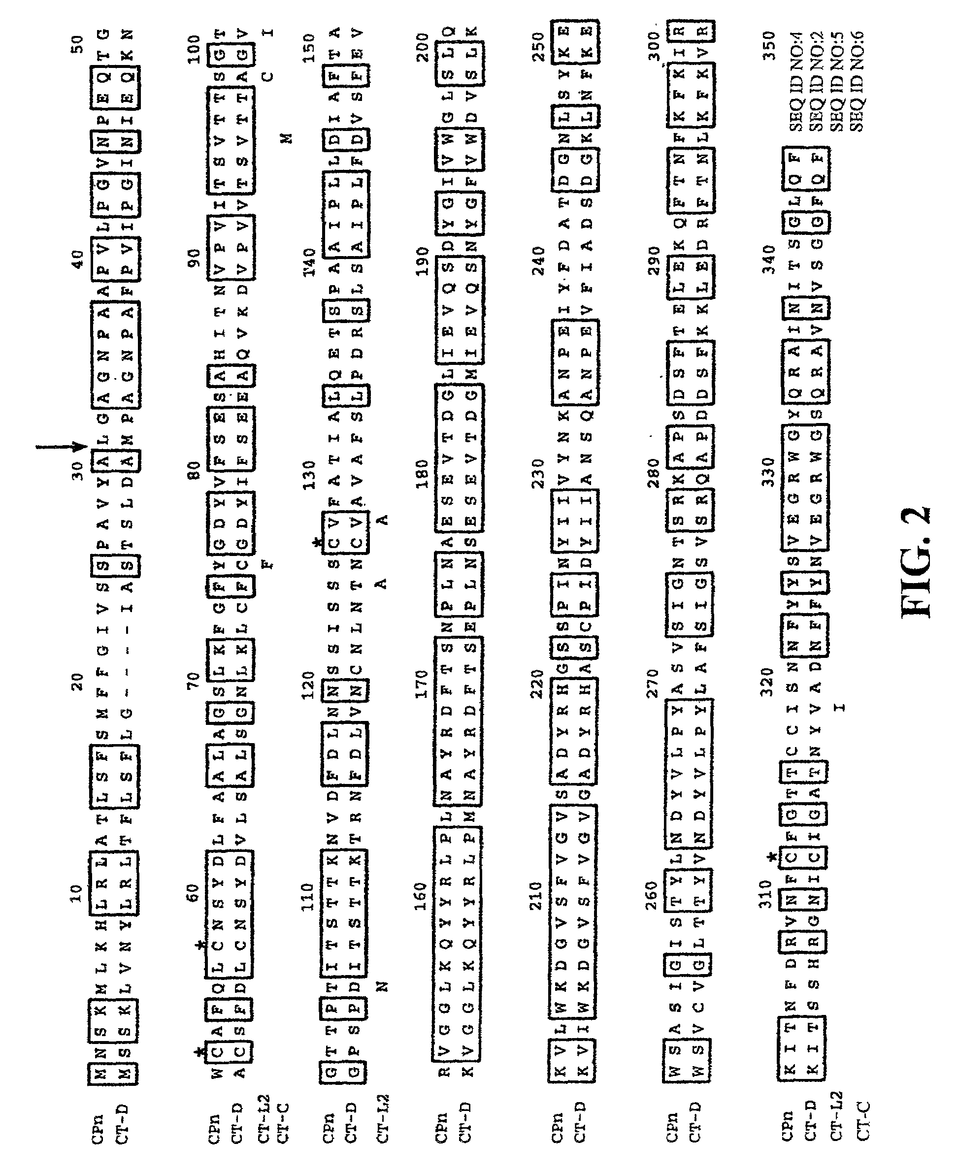 Porin B (PorB) as a therapeutic target for prevention and treatment of infection by <i>Chlamydia </i>