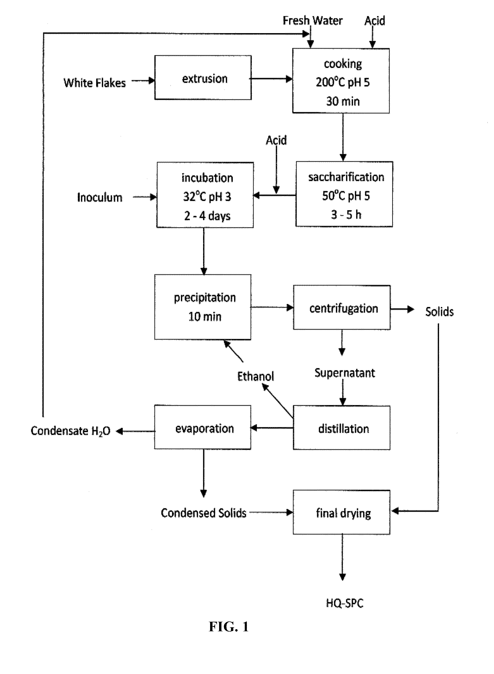 Microbial-based process for high-quality protein concentrate