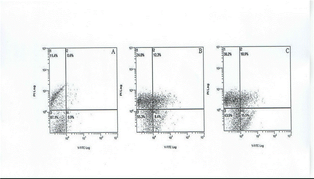 Application of ursolic acid to antitumor immunity