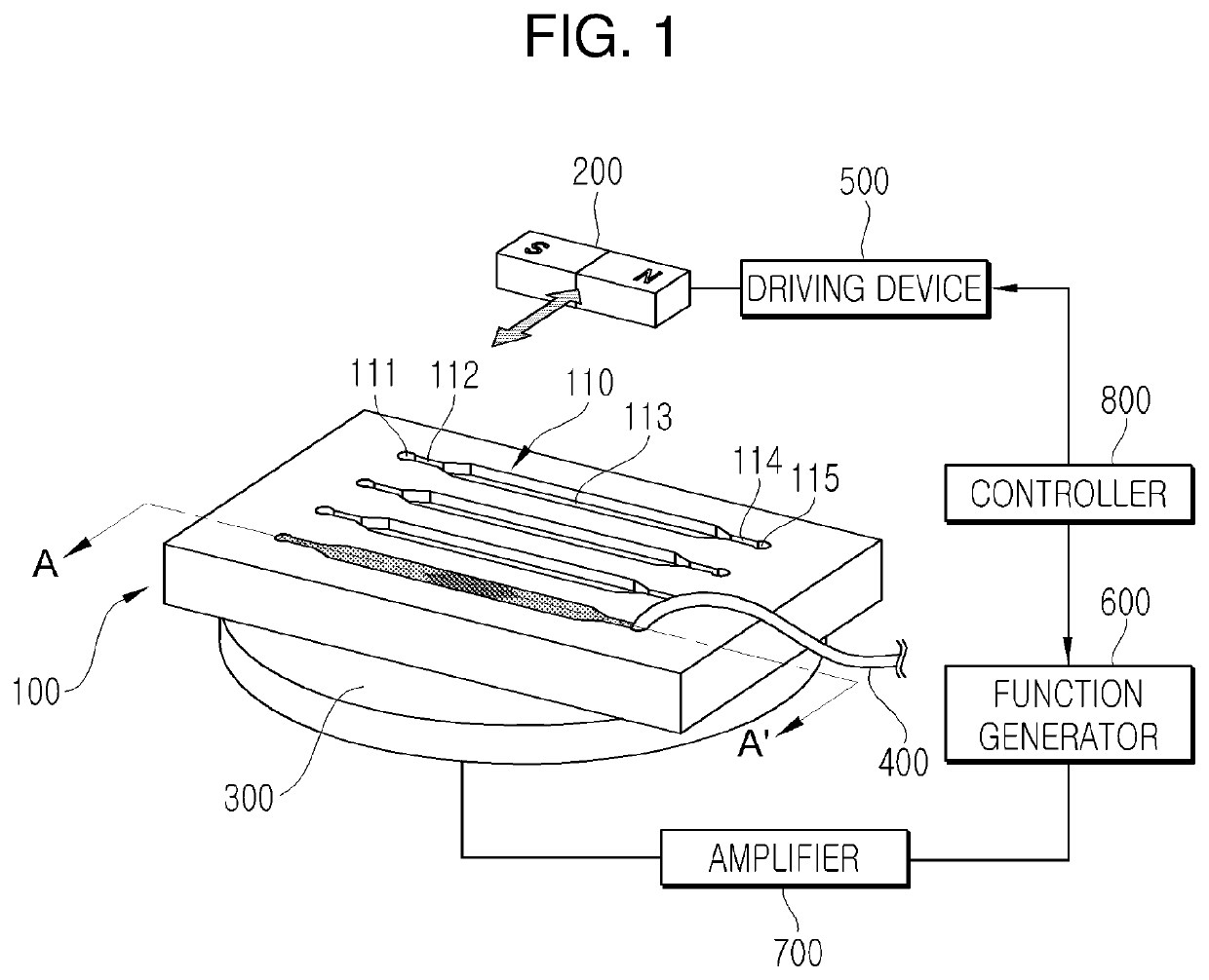 Apparatus and method for extracting genome using ultrasound transducer and magnetic bead