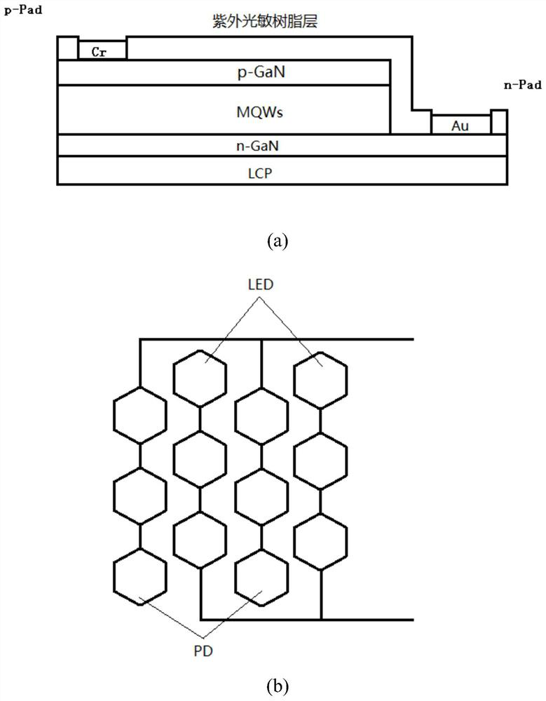 GaN optical sensing biosensing chip and preparation method and application thereof