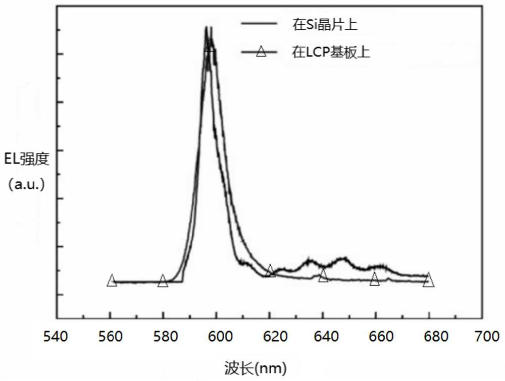 GaN optical sensing biosensing chip and preparation method and application thereof