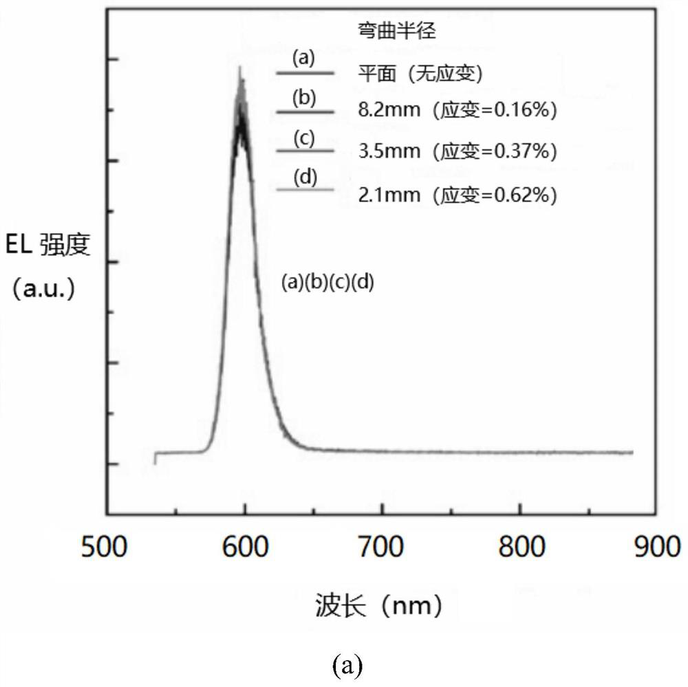 GaN optical sensing biosensing chip and preparation method and application thereof