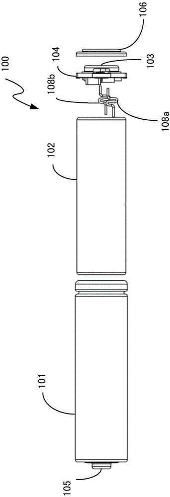 Secondary electrochemical battery sealing body with encapsulated type chip shield structure and battery