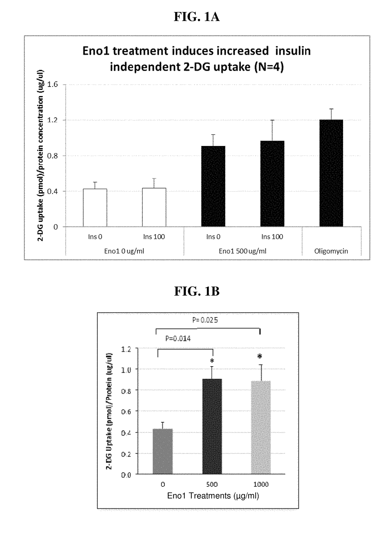 Enolase 1 (Eno1) compositions and uses thereof