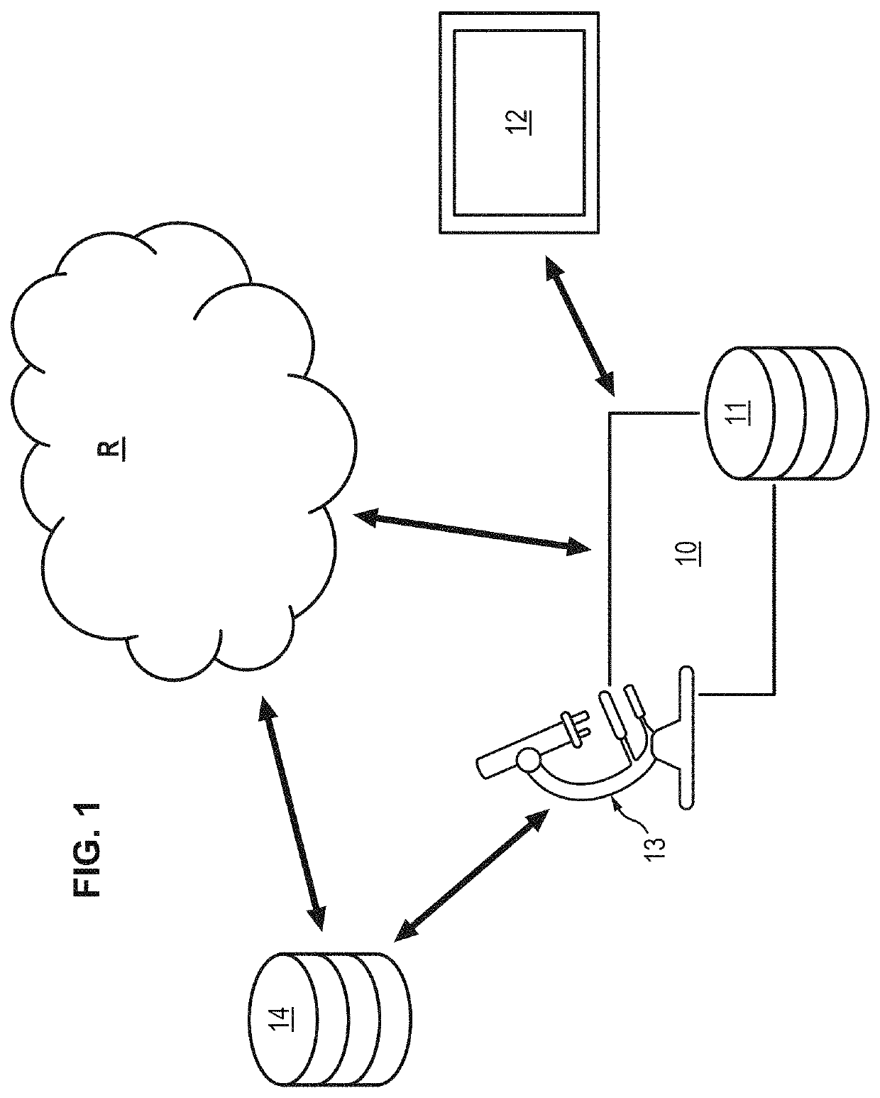 Process for determining the infiltration of biological cells in a biological object of interest