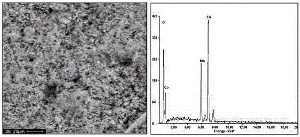 Preparation method of cobalt manganese oxide coating layer precursor